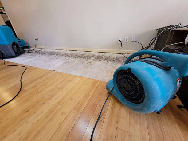 Professional Sewage Cleanup technician working in Freeland, MI
